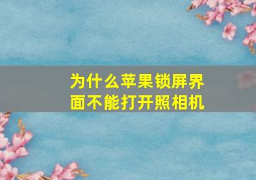 为什么苹果锁屏界面不能打开照相机