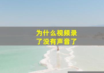 为什么视频录了没有声音了