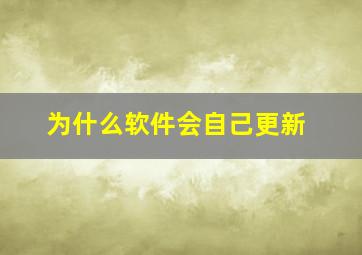 为什么软件会自己更新