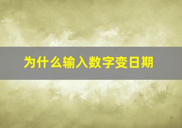 为什么输入数字变日期