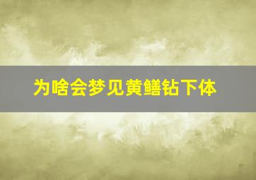 为啥会梦见黄鳝钻下体