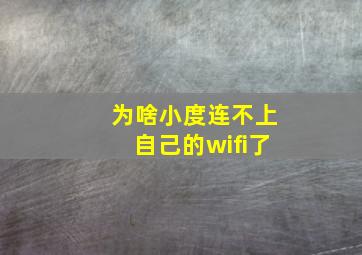 为啥小度连不上自己的wifi了