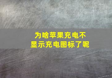 为啥苹果充电不显示充电图标了呢