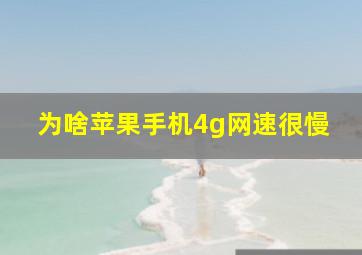 为啥苹果手机4g网速很慢