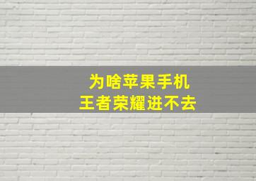 为啥苹果手机王者荣耀进不去