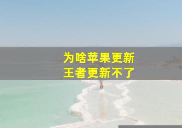 为啥苹果更新王者更新不了