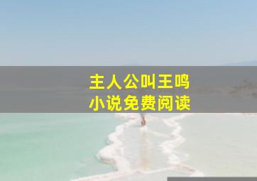 主人公叫王鸣小说免费阅读