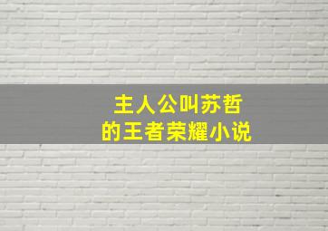 主人公叫苏哲的王者荣耀小说