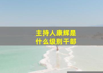 主持人康辉是什么级别干部