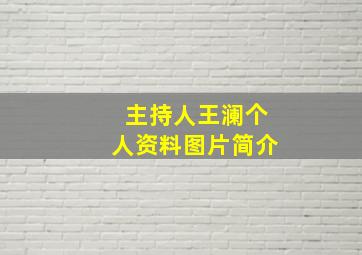 主持人王澜个人资料图片简介