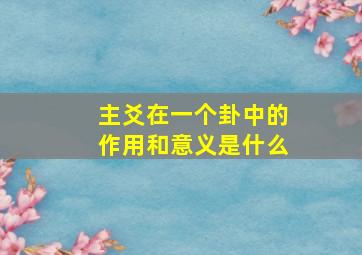 主爻在一个卦中的作用和意义是什么