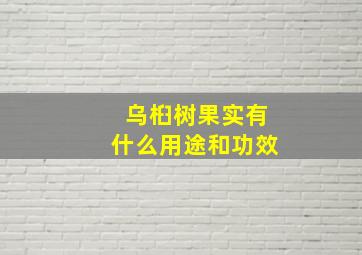 乌桕树果实有什么用途和功效