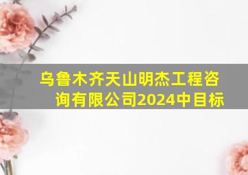 乌鲁木齐天山明杰工程咨询有限公司2024中目标