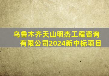 乌鲁木齐天山明杰工程咨询有限公司2024新中标项目