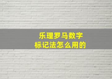 乐理罗马数字标记法怎么用的