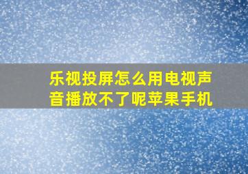 乐视投屏怎么用电视声音播放不了呢苹果手机