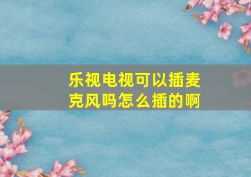 乐视电视可以插麦克风吗怎么插的啊