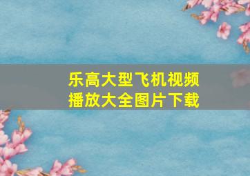 乐高大型飞机视频播放大全图片下载