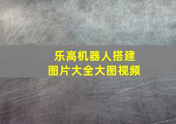 乐高机器人搭建图片大全大图视频