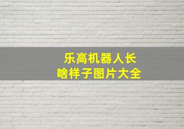 乐高机器人长啥样子图片大全