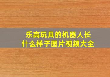 乐高玩具的机器人长什么样子图片视频大全