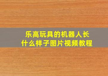 乐高玩具的机器人长什么样子图片视频教程