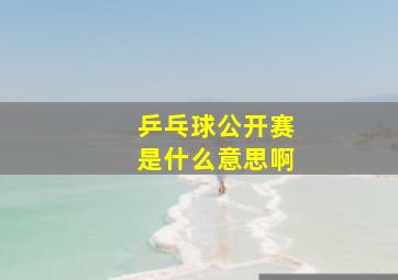 乒乓球公开赛是什么意思啊