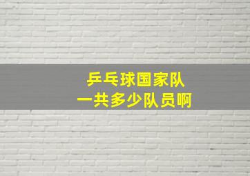 乒乓球国家队一共多少队员啊