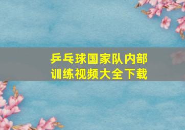 乒乓球国家队内部训练视频大全下载