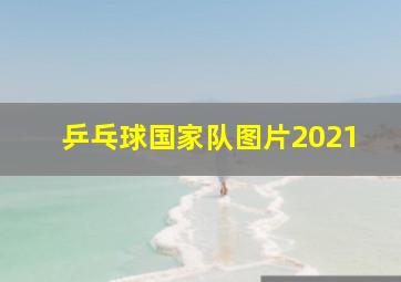 乒乓球国家队图片2021