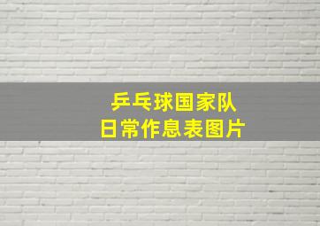 乒乓球国家队日常作息表图片