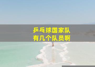 乒乓球国家队有几个队员啊