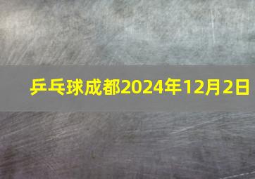 乒乓球成都2024年12月2日