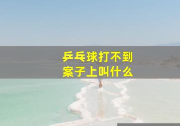 乒乓球打不到案子上叫什么