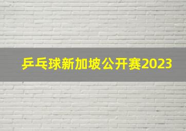 乒乓球新加坡公开赛2023