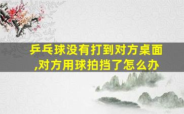 乒乓球没有打到对方桌面,对方用球拍挡了怎么办