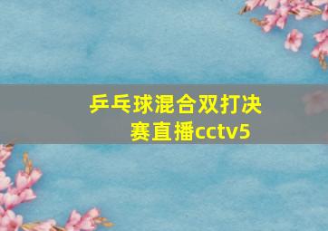 乒乓球混合双打决赛直播cctv5