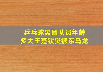 乒乓球男团队员年龄多大王楚钦樊振东马龙