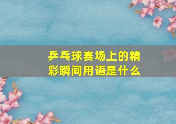 乒乓球赛场上的精彩瞬间用语是什么