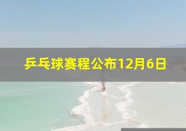 乒乓球赛程公布12月6日