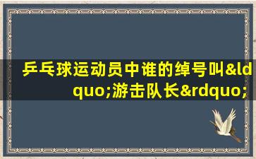 乒乓球运动员中谁的绰号叫“游击队长”