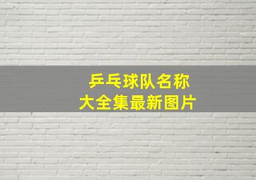 乒乓球队名称大全集最新图片