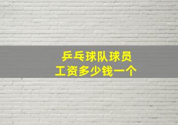 乒乓球队球员工资多少钱一个