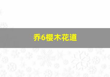 乔6樱木花道