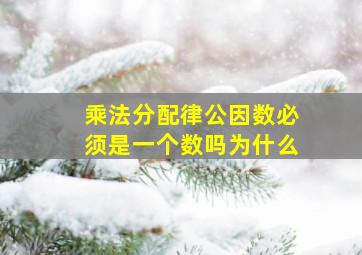 乘法分配律公因数必须是一个数吗为什么