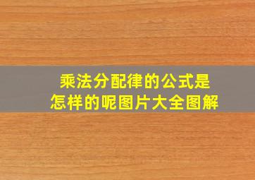 乘法分配律的公式是怎样的呢图片大全图解