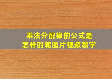 乘法分配律的公式是怎样的呢图片视频教学