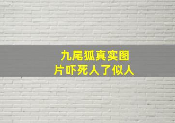 九尾狐真实图片吓死人了似人