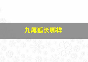 九尾狐长哪样