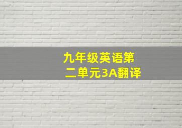 九年级英语第二单元3A翻译